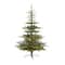 6ft. Pre-Lit Layered Washington Spruce Artificial Christmas Tree with Clear Lights
